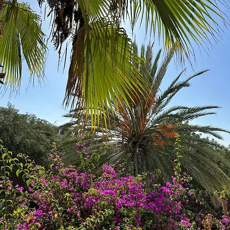 Casa Benissima - With Large Swimming Pool And Sea View -